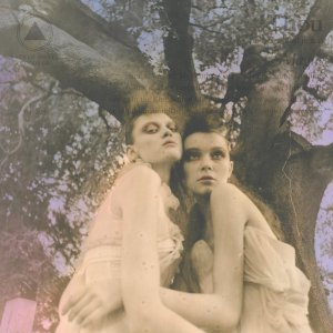 sbr205-thou-300_sq-06f22579167f9274a2bf0005b93d2eafdb1f6df6-s800-c85